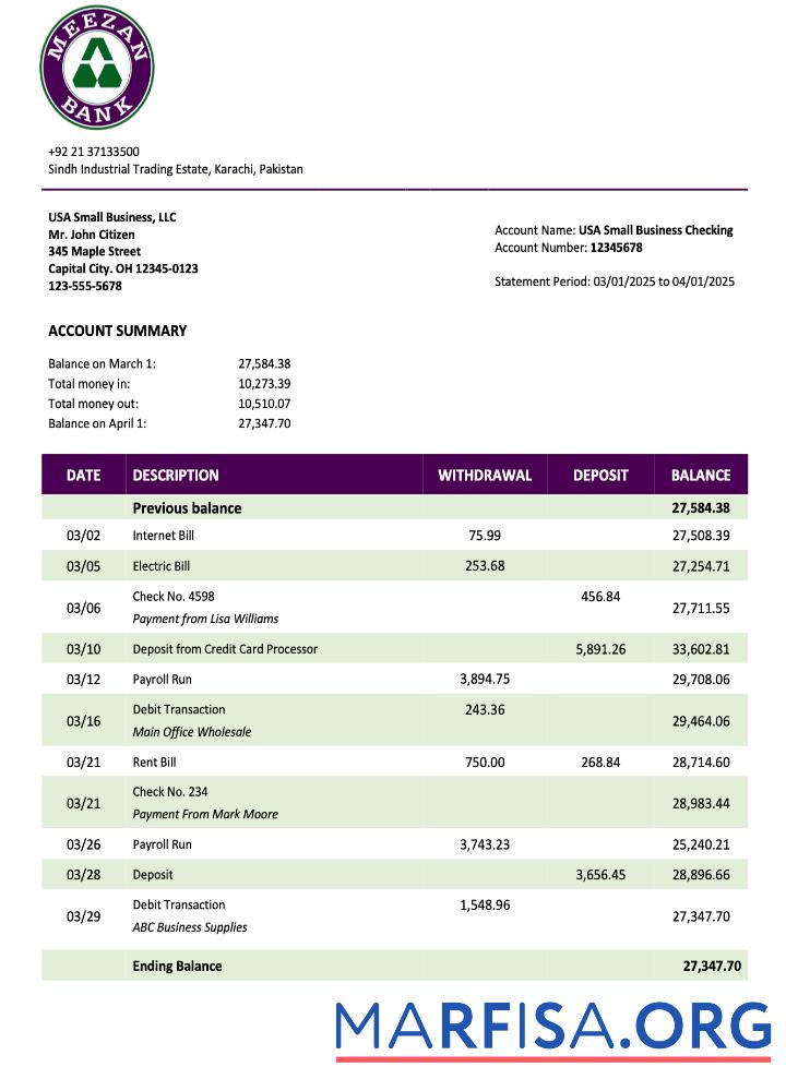 Downloadable Pakistan Meezan Bank organization statement Word and PDF template
